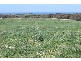 Lot 3 South Coast Road, Yorketown SA 5576