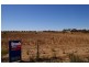 Lot 3 Hills Road, Moonta SA 5558