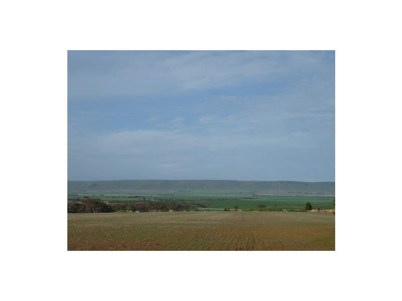 17 Kulpara Road, Bute SA 5560