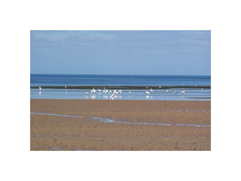 lot 8 Clinton Shores, Port Clinton SA 5570