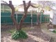 3 Ewing Street, Kadina SA 5554
