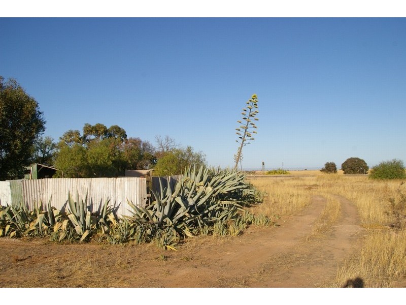 67 Poona Road, Moonta SA 5558