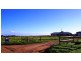 Sec 785 Harbison (Govt) Road, Wallaroo SA 5556