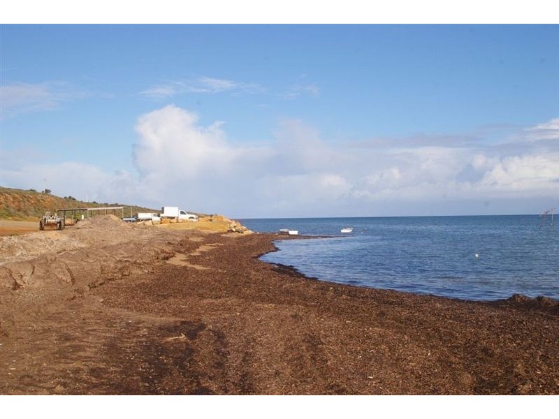121 & 122 Coast Road, Tickera SA 5555