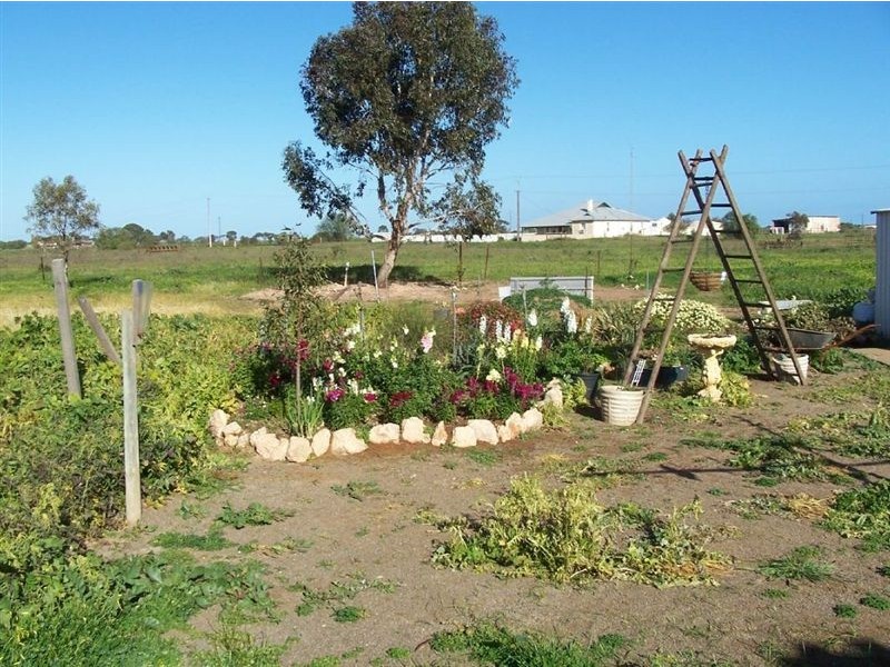 2 Lipson Road, Kadina SA 5554