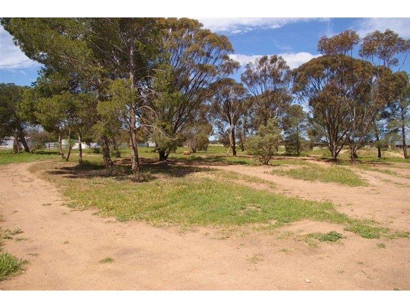 12 Ramsay Street, Kadina SA 5554