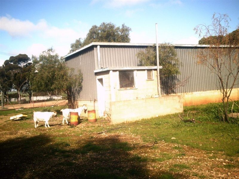 lot 322 Railway Terrace, Snowtown SA 5520