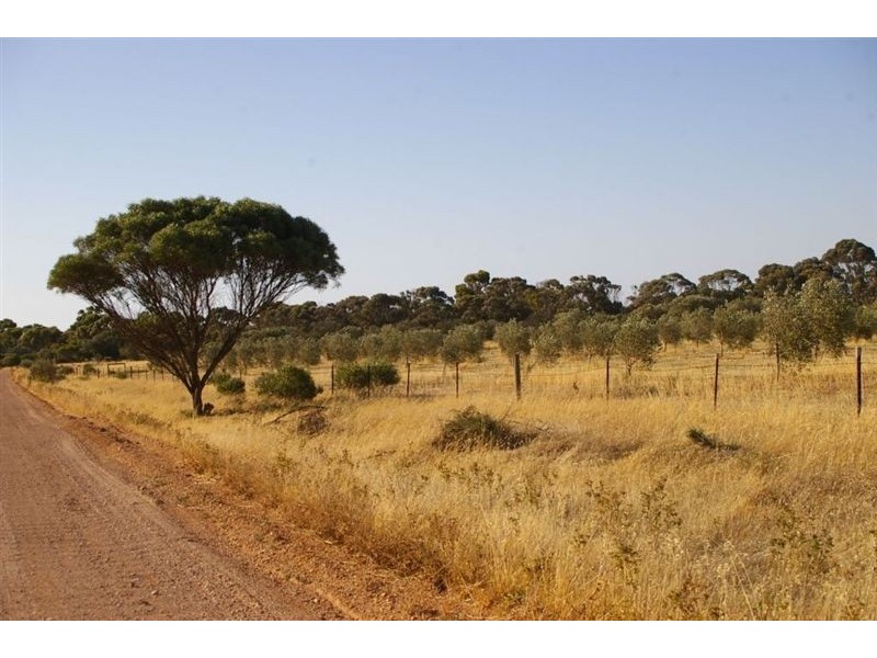Sec 662 Martin Terrace, Kadina SA 5554