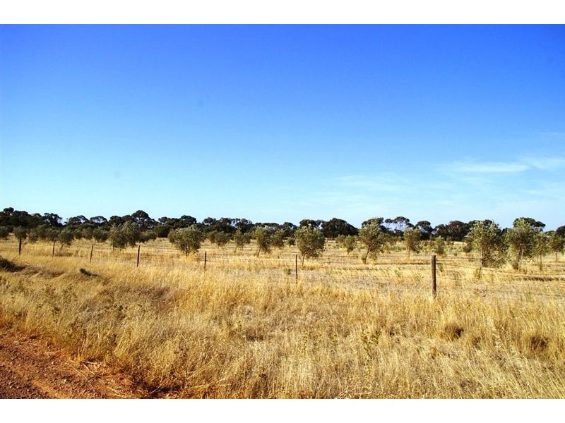 Sec 662 Martin Terrace, Kadina SA 5554