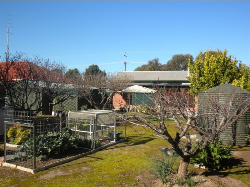 53 Frances Terrace, Kadina SA 5554