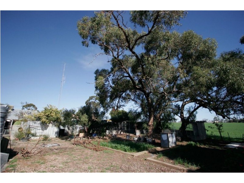 23 Everard Street, Bute SA 5560