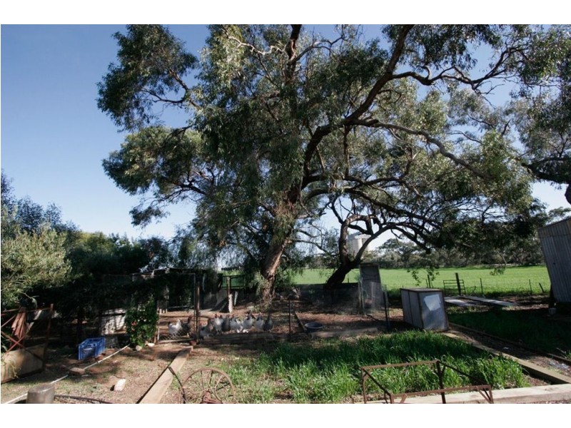 23 Everard Street, Bute SA 5560