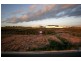 Lot 199 Farell Road, Wallaroo SA 5556