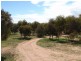 Lot 2 Settlers Lane, Tickera SA 5555