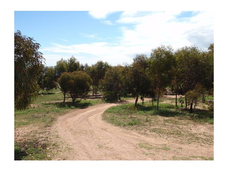 Lot 2 Settlers Lane, Tickera SA 5555