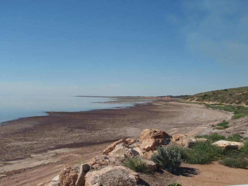 Lot 5 Tonetaway Road, Tickera SA 5555