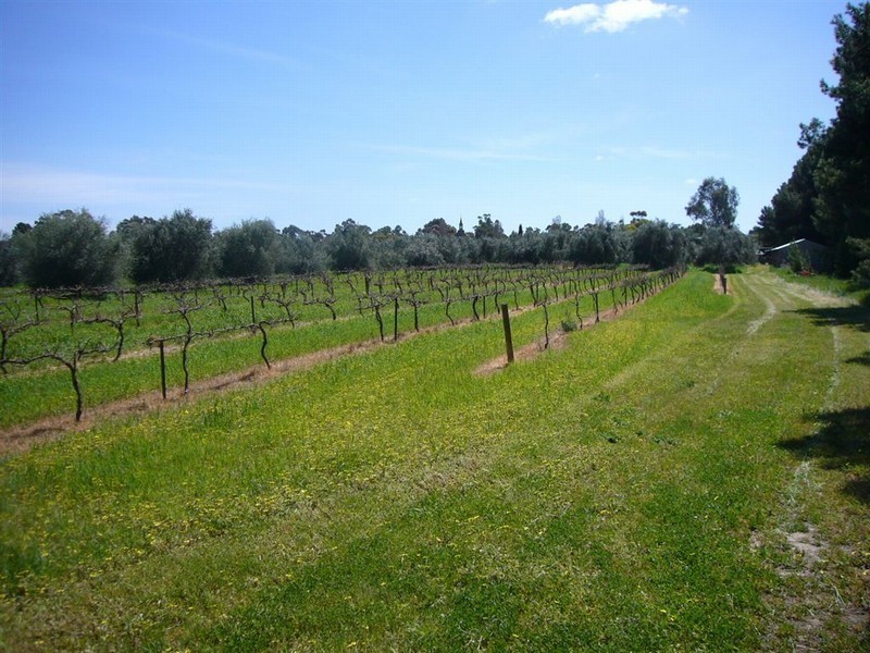 Lot 21&811 Main North Rd, Auburn SA 5451