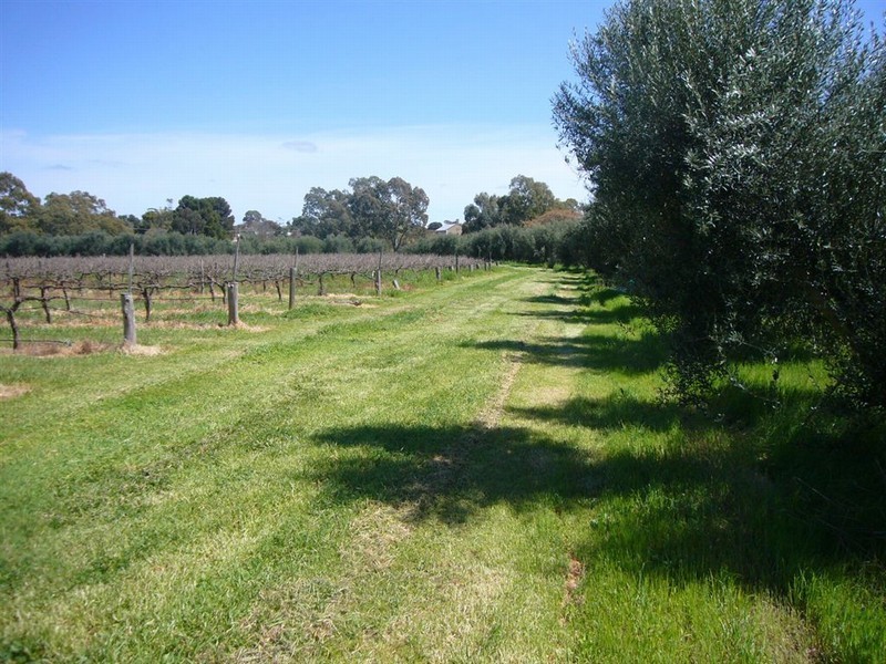 Lot 21&811 Main North Rd, Auburn SA 5451