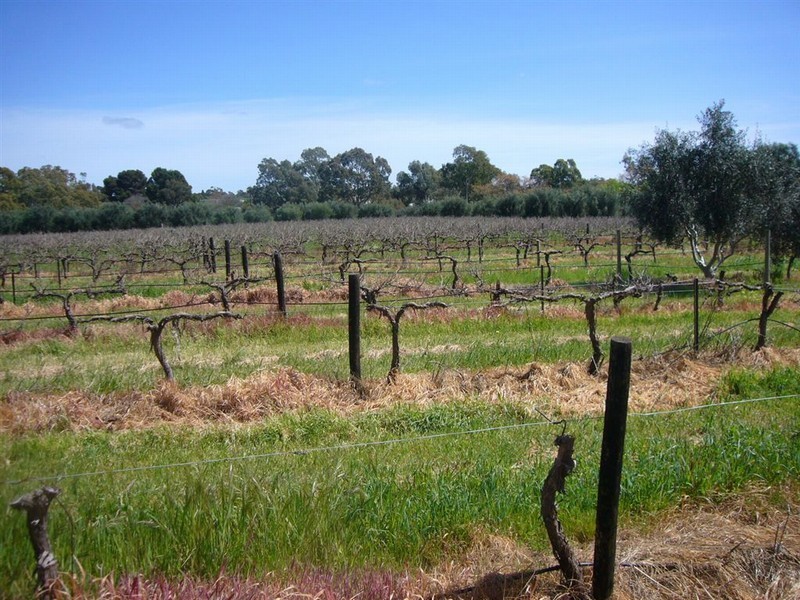 Lot 21&811 Main North Rd, Auburn SA 5451