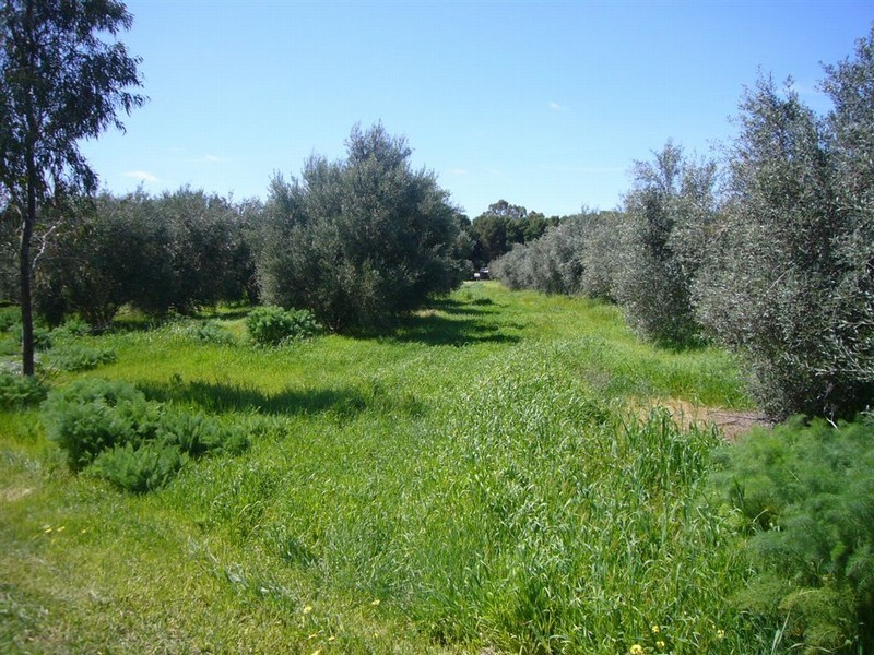 Lot 21&811 Main North Rd, Auburn SA 5451