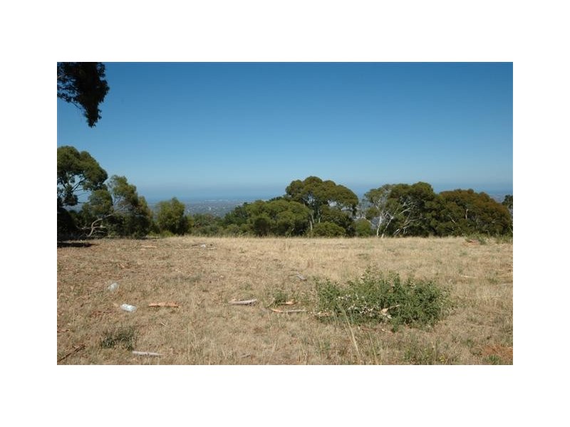 7 Teringie Dr, Teringie SA 5072