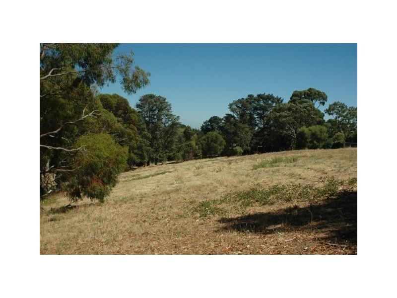 7 Teringie Dr, Teringie SA 5072