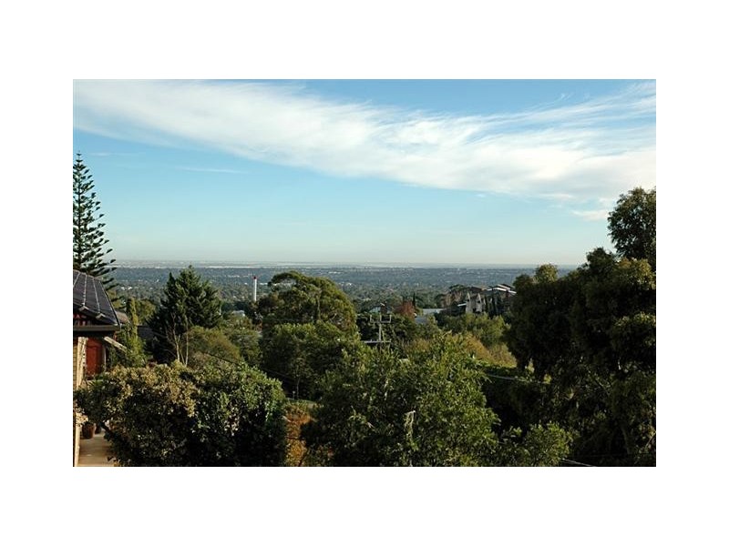 8 Wyfield Street, Wattle Park SA 5066