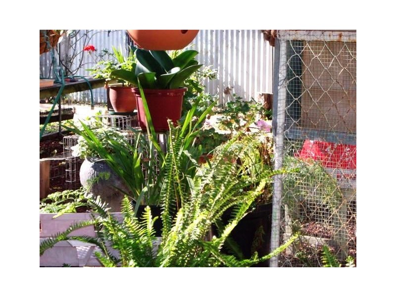 6 Leander Crescent, Greenacres SA 5086