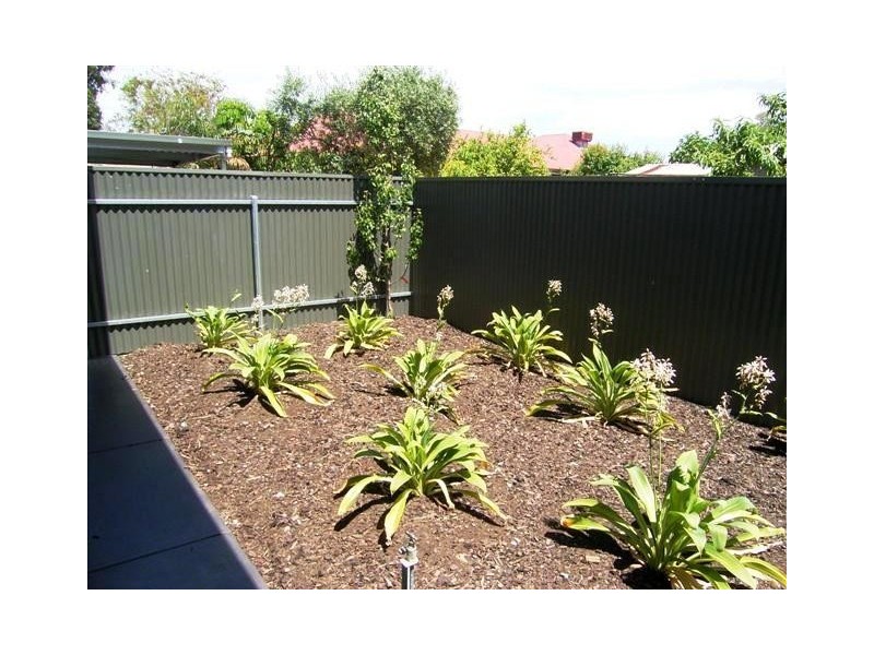 5/240 Payneham Rd, Payneham SA 5070