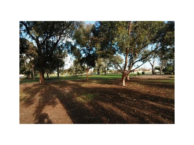 7 Falcon Avenue, Hampstead Gardens SA 5086