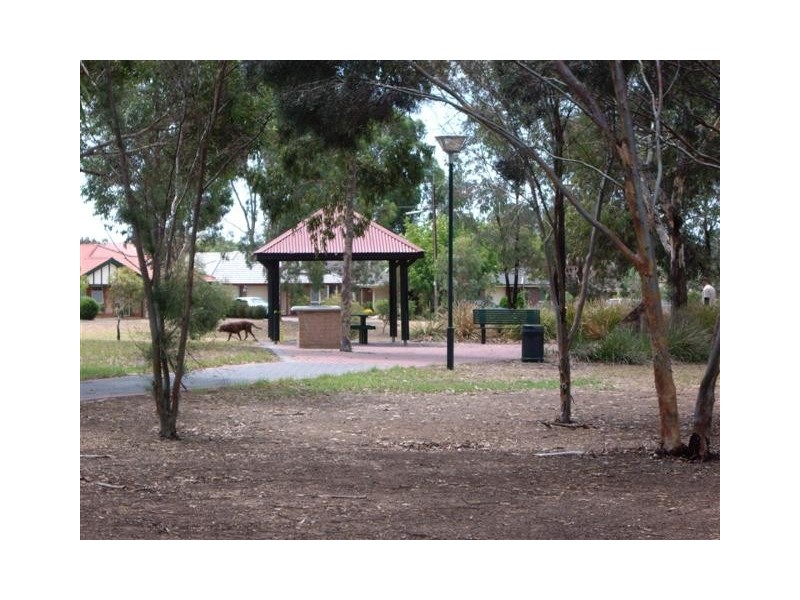 15 Ramsay Ave, Hillcrest SA 5086