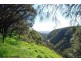 48 Yarrabee Road, Greenhill SA 5140