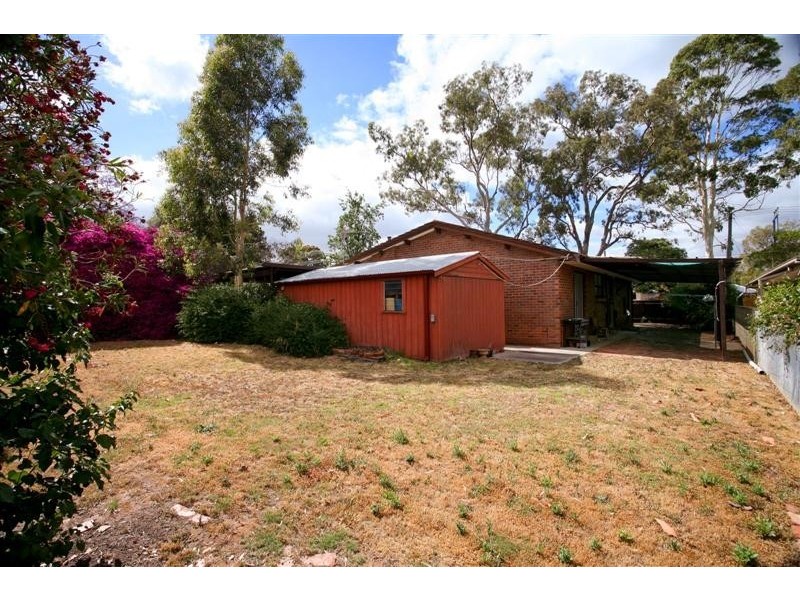 31 Douglas Street, Magill SA 5072