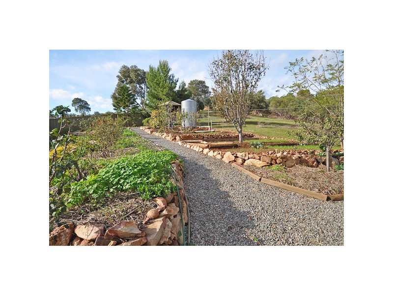 4 Coachhouse Drive, Teringie SA 5072