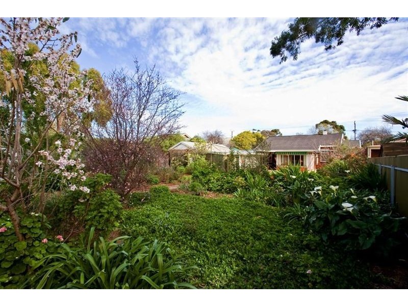 54 Hereford Ave, Trinity Gardens SA 5068