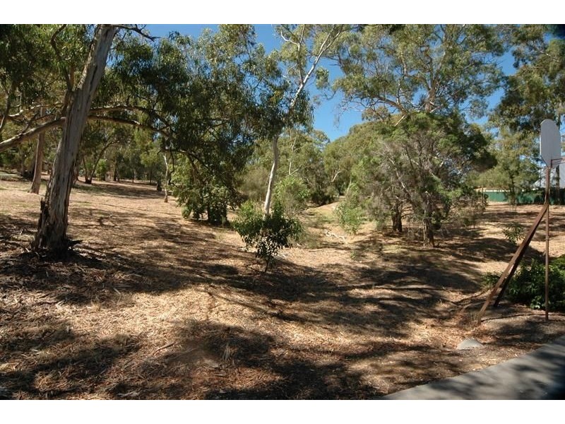 24 Fox Avenue, Athelstone SA 5076