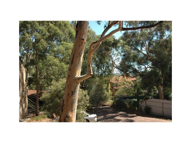 6/29 Norton Summit Road, Woodforde SA 5072