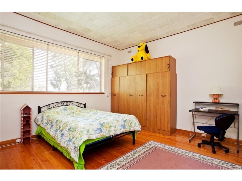 17 Derwent Avenue, Magill SA 5072