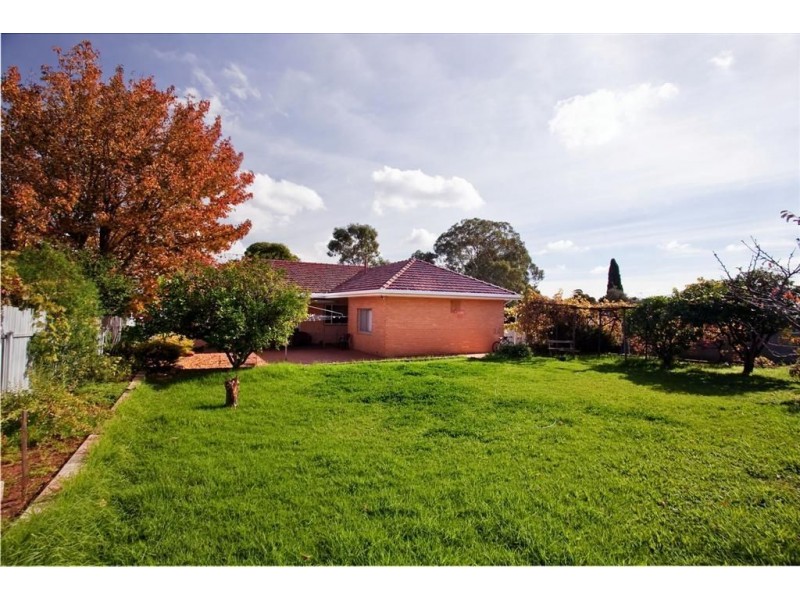 17 Derwent Avenue, Magill SA 5072
