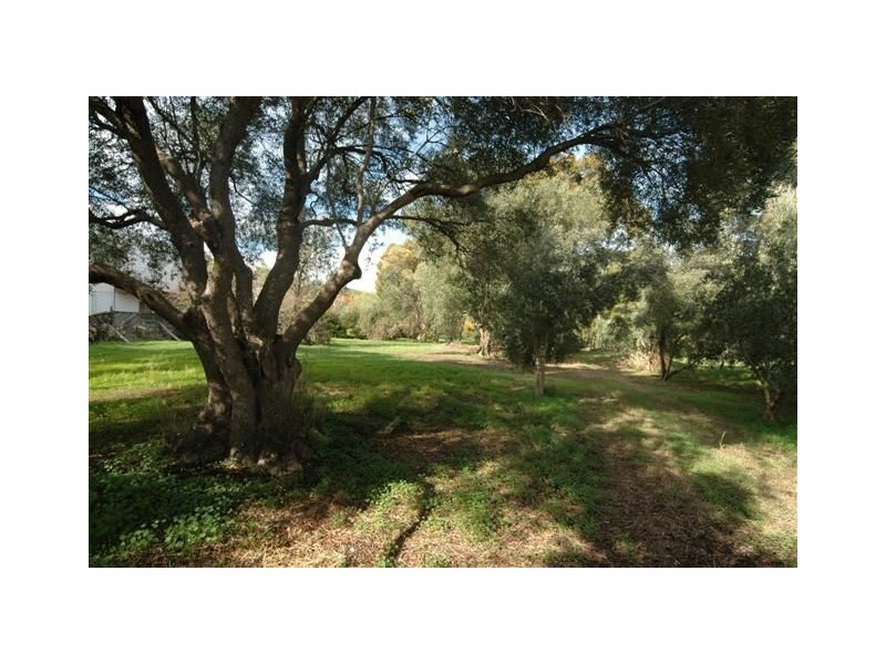 171 Stradbroke Road, Rostrevor SA 5073