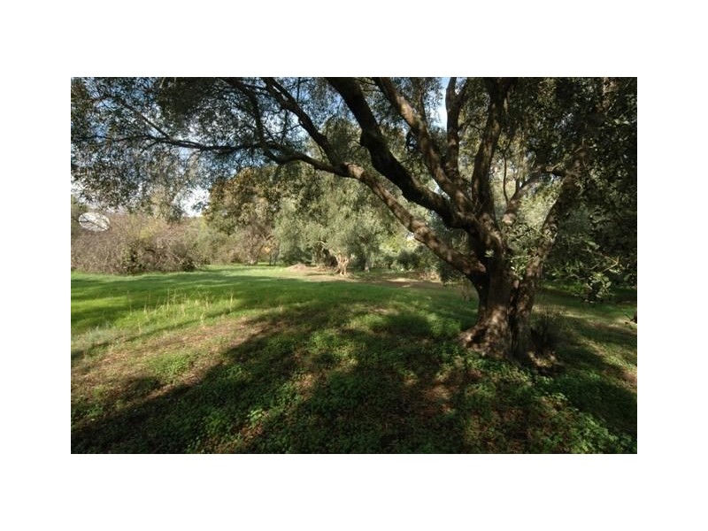 171 Stradbroke Road, Rostrevor SA 5073