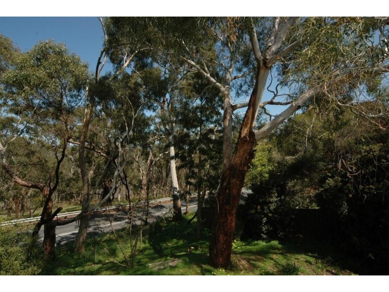160 Yarrabee Road, (above Burnside), Greenhill SA 5140