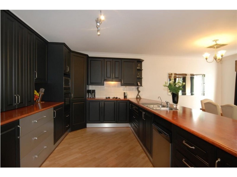 16 Almond Grove, Magill SA 5072