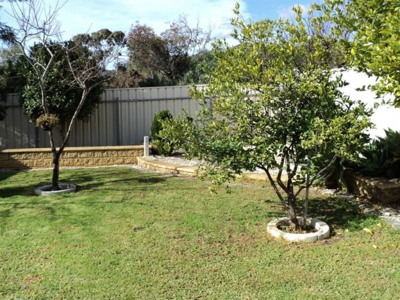 7 Meadowvale Rd, Athelstone SA 5076