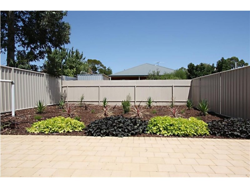 44B Wembley Ave,, Hectorville SA 5073