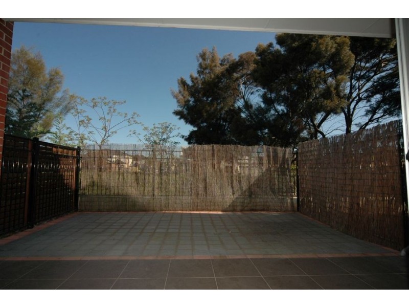 54 Grasswren Way, Mawson Lakes SA 5095