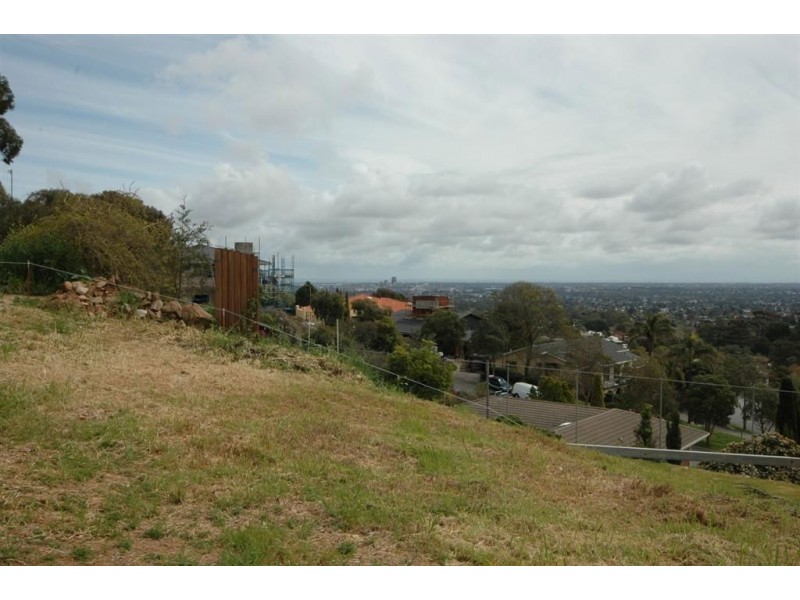 1A Sylvaner Aveune, Auldana SA 5072