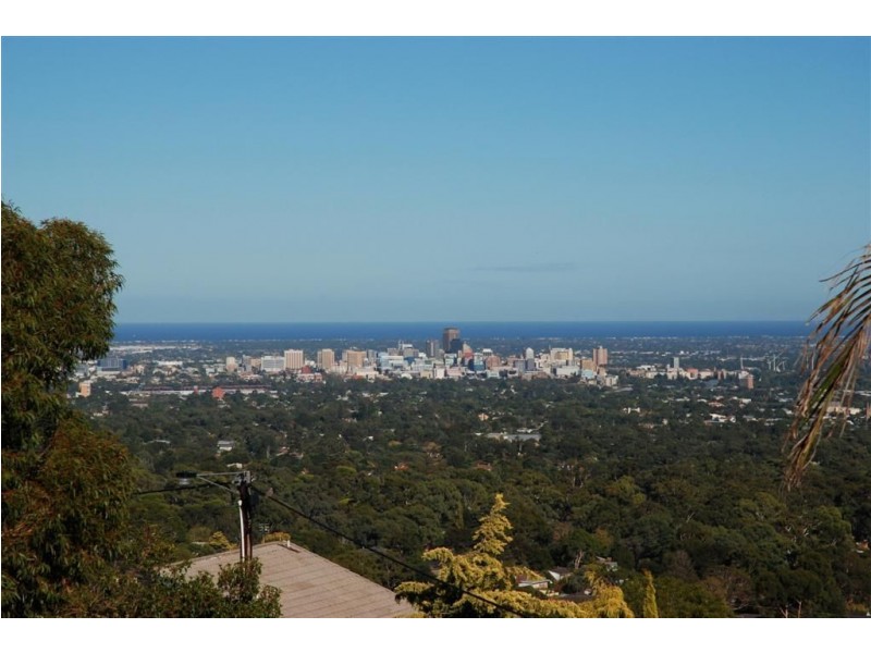 7 Redounau Crescent, Wattle Park SA 5066