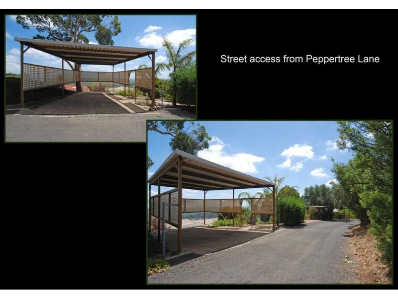 7 Redounau Crescent, Wattle Park SA 5066