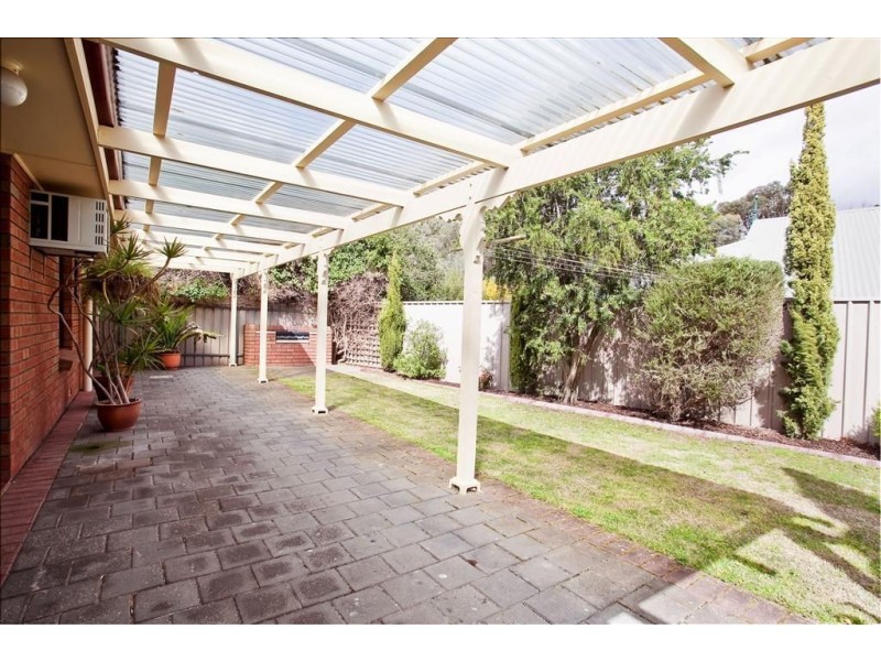 8 Trellios Street, Modbury SA 5092
